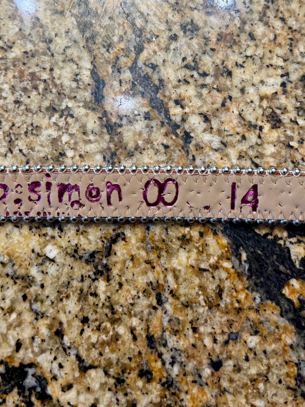 B.B. Simon Red Crystal Buckle and Strap Dog Collar - Picture 5 of 7